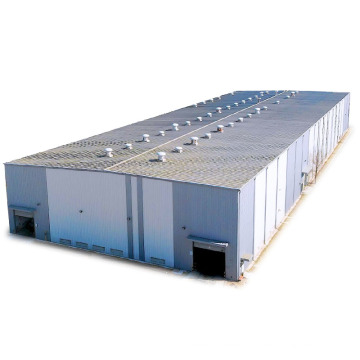 Strong Construction Design Large-Span Steel Structural Buildings Warehouse